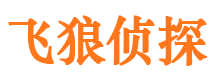 宁晋外遇调查取证